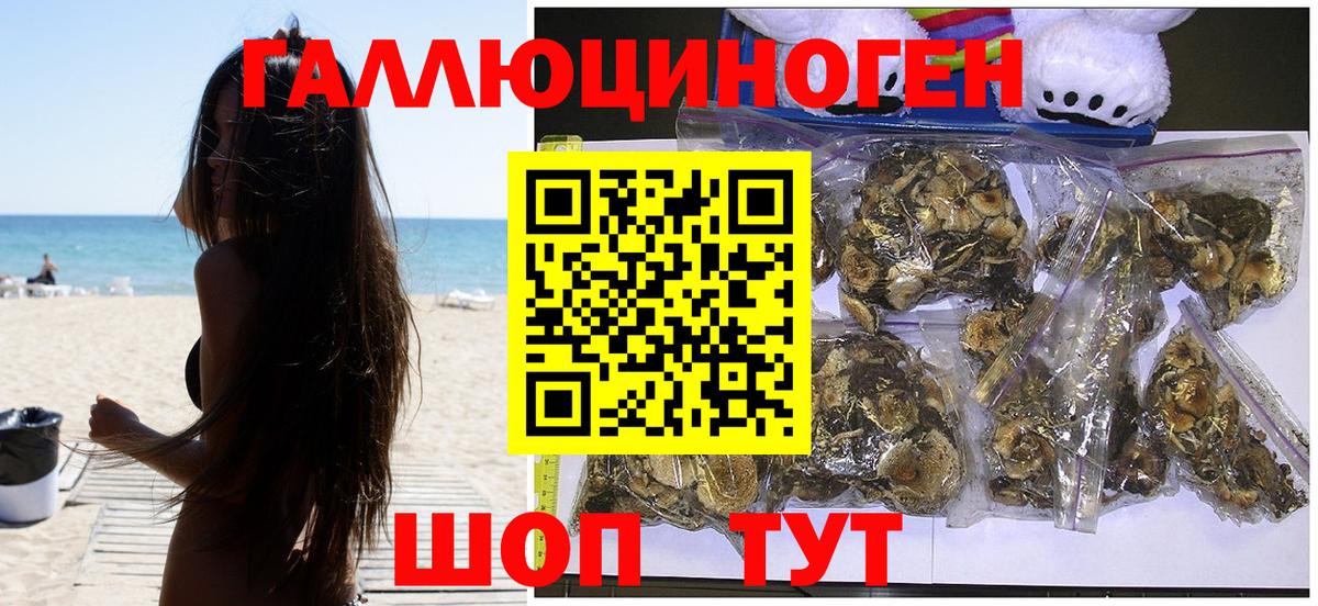Нововоронеж  Галлюциногенные грибы Psilocybine cubensis  Вход с VPN 